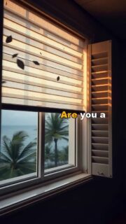 Stay safe this hurricane season! Discover impact-resistant window treatments that protect your home while saving on insurance. 🏠🔒 #HurricanePreparedness #MiamiHomes #WindowTreatments #HomeSafety #StormReady